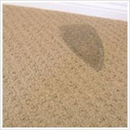 Carpet Burn Mark Repair