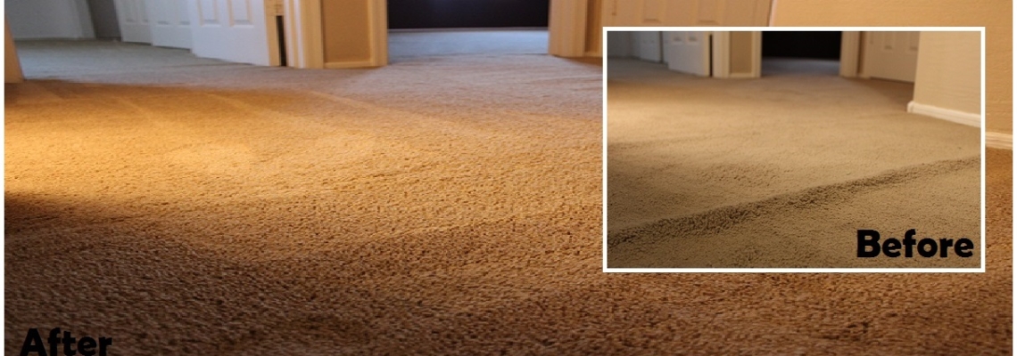 Carpet Cleaning - Terryclean Carpet Care