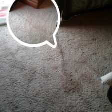 A brown stain on the carpet of a living room.