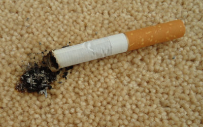 A cigarette is laying on the carpet