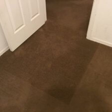 A door way with brown carpet in the middle of it