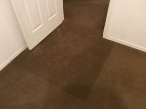 A door way with brown carpet in the middle of it