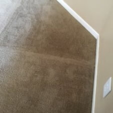 A carpet cleaning service in the process of being cleaned.