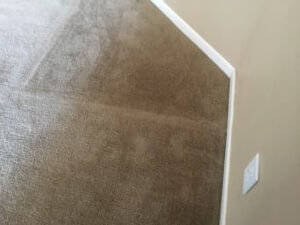 A carpet cleaning service in the process of being cleaned.